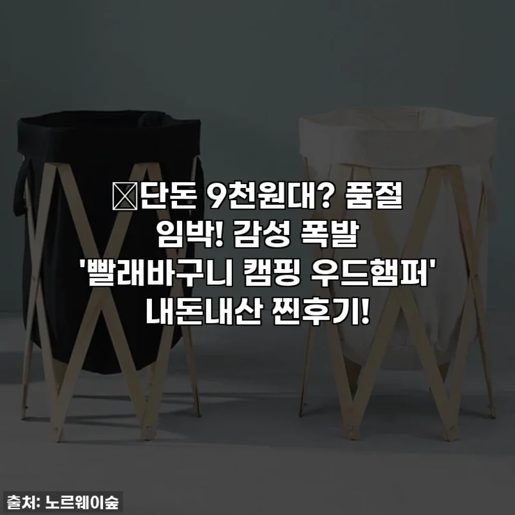 🔥단돈 9천원대? 품절 임박! 감성 폭발 '빨래바구니 캠핑 우드햄퍼' 내돈내산 찐후기!