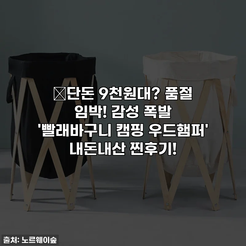 🔥단돈 9천원대? 품절 임박! 감성 폭발 '빨래바구니 캠핑 우드햄퍼' 내돈내산 찐후기!