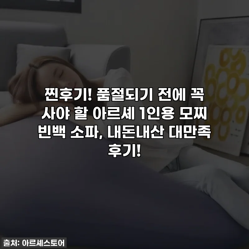 찐후기! 품절되기 전에 꼭 사야 할 아르셰 1인용 모찌 빈백 소파, 내돈내산 대만족 후기!
