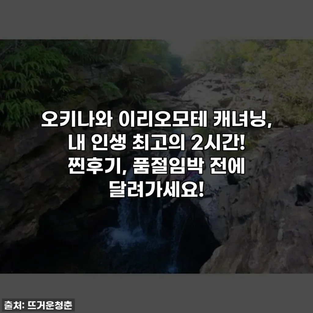 오키나와 이리오모테 캐녀닝, 내 인생 최고의 2시간! 찐후기, 품절임박 전에 달려가세요!