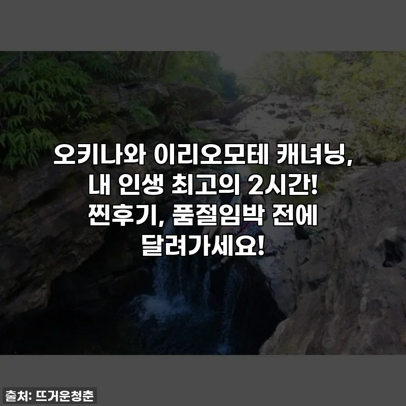 오키나와 이리오모테 캐녀닝, 내 인생 최고의 2시간! 찐후기, 품절임박 전에 달려가세요!