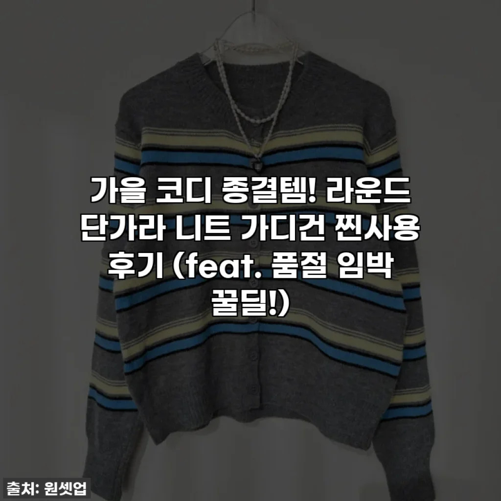 가을 코디 종결템! 라운드 단가라 니트 가디건 찐사용 후기 (feat. 품절 임박 꿀딜!)