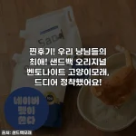 찐후기! 우리 냥님들의 최애! 샌드백 오리지널 벤토나이트 고양이모래, 드디어 정착했어요!