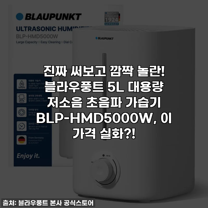 진짜 써보고 깜짝 놀란! 블라우풍트 5L 대용량 저소음 초음파 가습기 BLP-HMD5000W, 이 가격 실화?!