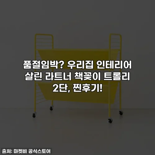 품절임박? 우리집 인테리어 살린 라트너 책꽂이 트롤리 2단, 찐후기!
