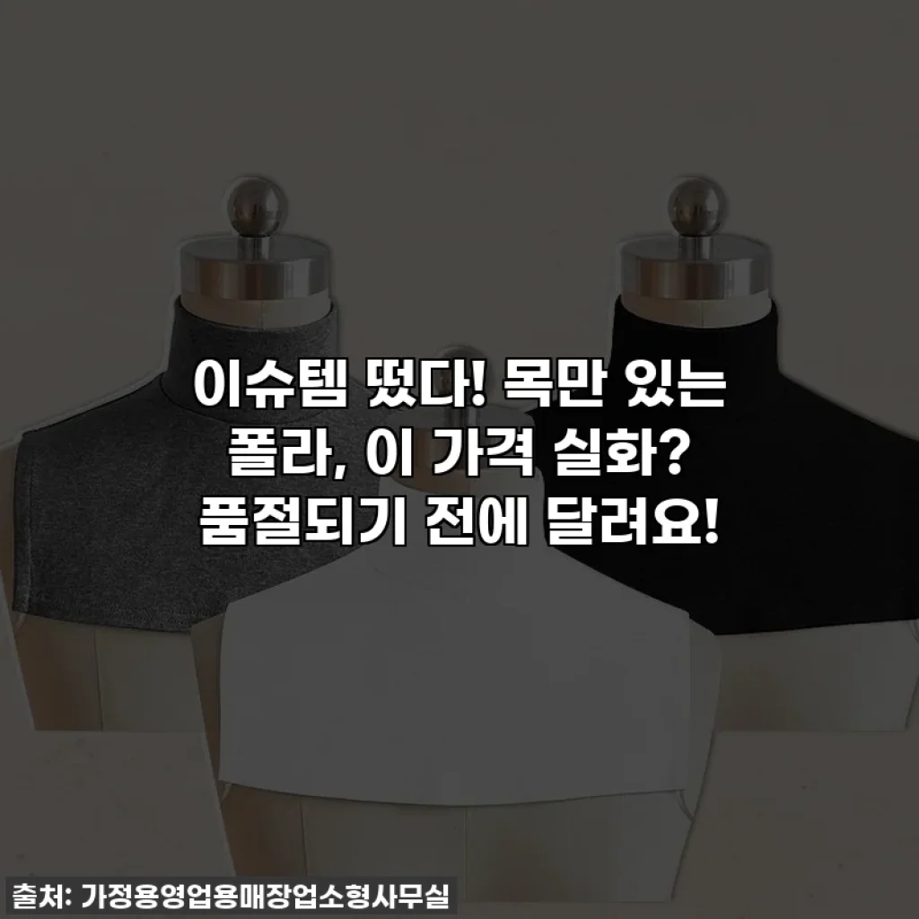 이슈템 떴다! 목만 있는 폴라, 이 가격 실화? 품절되기 전에 달려요!