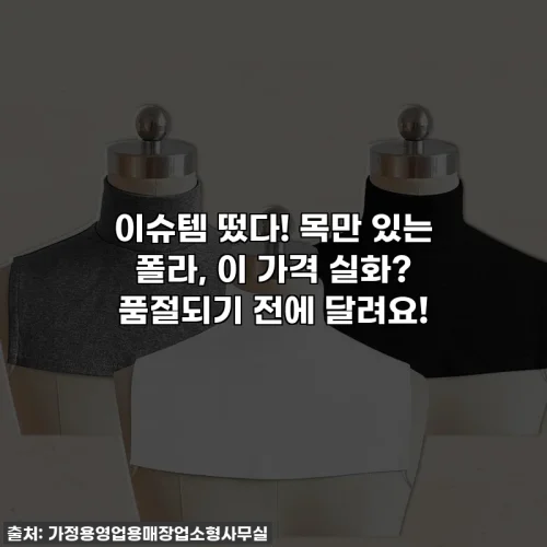 이슈템 떴다! 목만 있는 폴라, 이 가격 실화? 품절되기 전에 달려요!