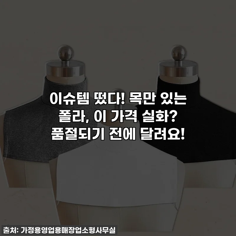 이슈템 떴다! 목만 있는 폴라, 이 가격 실화? 품절되기 전에 달려요!