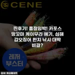 찐후기! 품절임박! 카포스 땅꼬마 케이무라 에기, 심해 갑오징어 한치 낚시 대박 비결?
