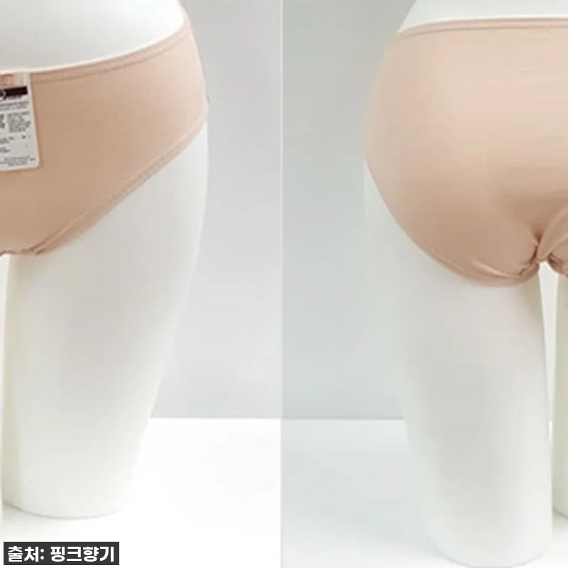 이슈템 등극! '국산 여성 면팬티 빅 관련 이미지 1