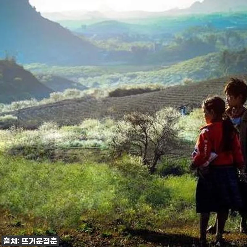 역대급 할인가! 베트남 마이쩌우 & 관련 이미지 2