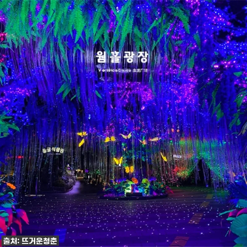 🎁찐후기! 품절임박! 서해 낭만 가득 관련 이미지 3