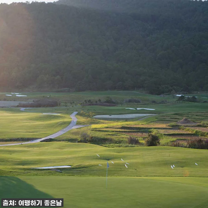 달랏 골프 18홀 패키지 찐후기! 품절되기 전에 꼭 잡아야 할 기회! 10 달랏 골프 18홀 패키지 찐후기! 품 관련 이미지 4