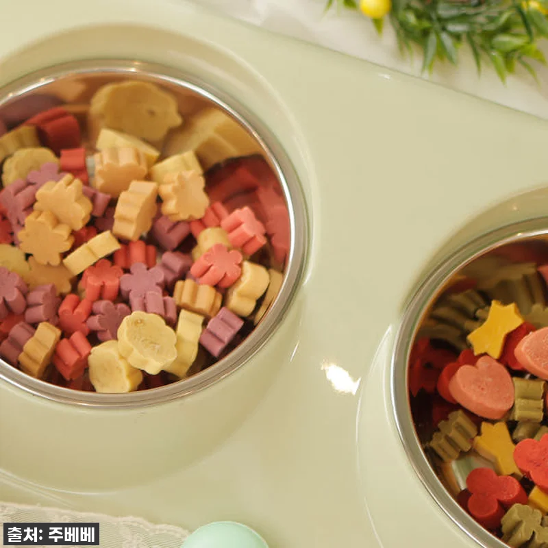 🐶말티즈 할매견도 입맛 돋우는 강아지 관련 이미지 4