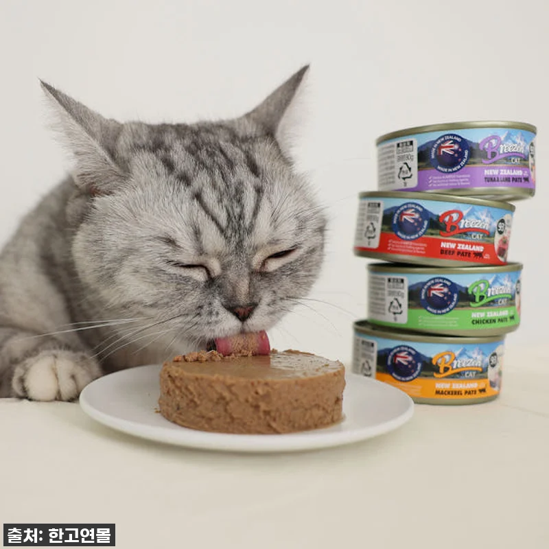 우리집 냥님들이 미친듯이 먹어치운! 관련 이미지 4