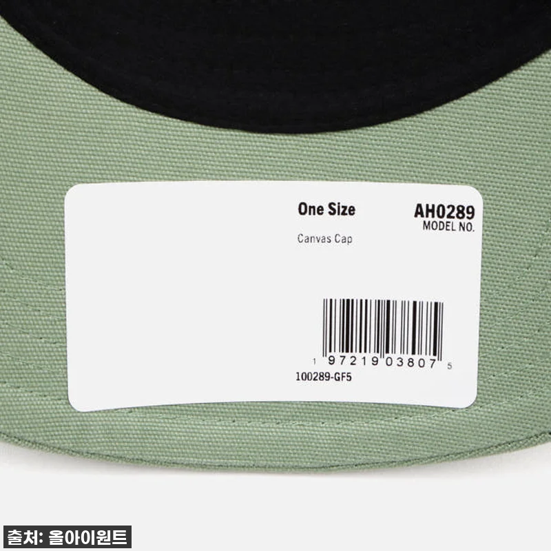 이슈템 등극! 🧢 칼하트 오데사 캔버 관련 이미지 5