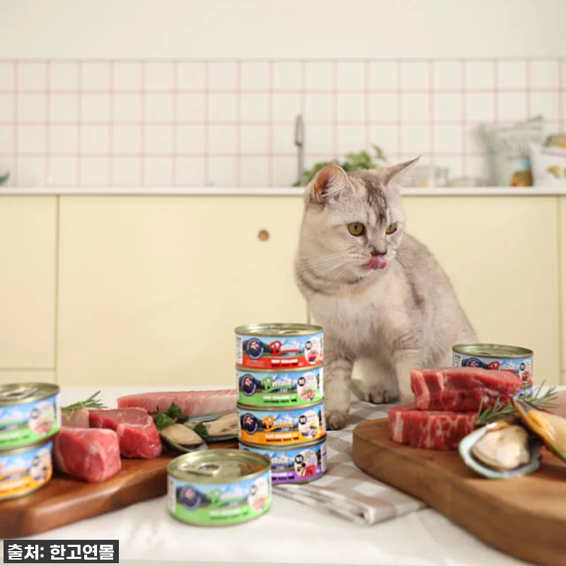 우리집 냥님들이 미친듯이 먹어치운! 관련 이미지 5