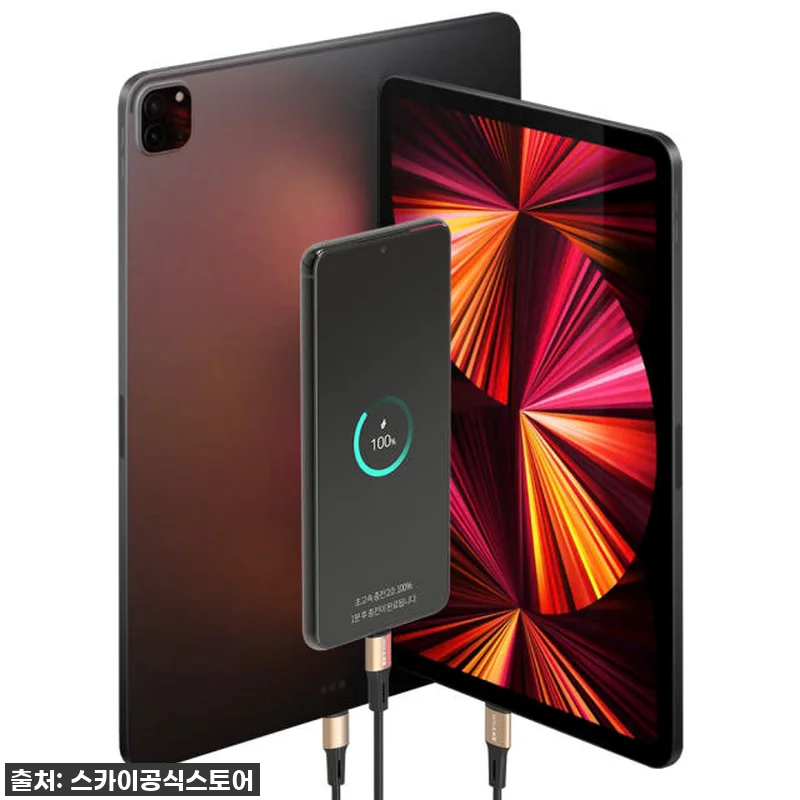 이슈템 등극! 비트 60W C타입 패 관련 이미지 5