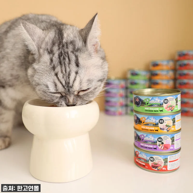 우리집 냥님들이 미친듯이 먹어치운! 관련 이미지 6