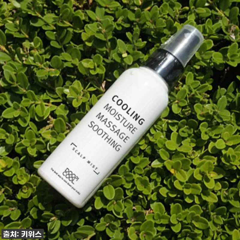 두피열 안녕! 쿨링 두피마사지기 찐후 관련 이미지 5