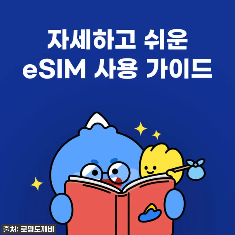 필리핀 여행 필수템 등극! 로밍도깨비 eSIM 찐후기, 품절되기 전에 꼭 쟁여두세요! 18 필리핀 여행 필수템 등극! 로밍도깨비 관련 이미지 7