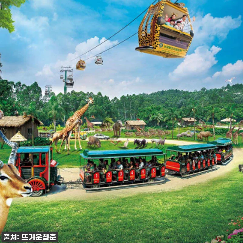 이건 무조건 사야 해! 광저우 치메롱 관련 이미지 9