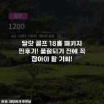 Home 61 달랏 골프 18홀 패키지 찐후기! 품절되기 전에 꼭 잡아야 할 기회!