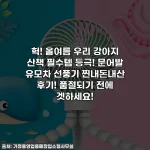 헉! 올여름 우리 강아지 산책 필수템 등극! 문어발 유모차 선풍기 찐내돈내산 후기! 품절되기 전에 겟하세요!