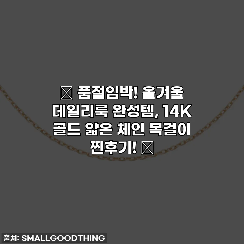 ✨ 품절임박! 올겨울 데일리룩 완성템, 14K 골드 얇은 체인 목걸이 찐후기! ✨