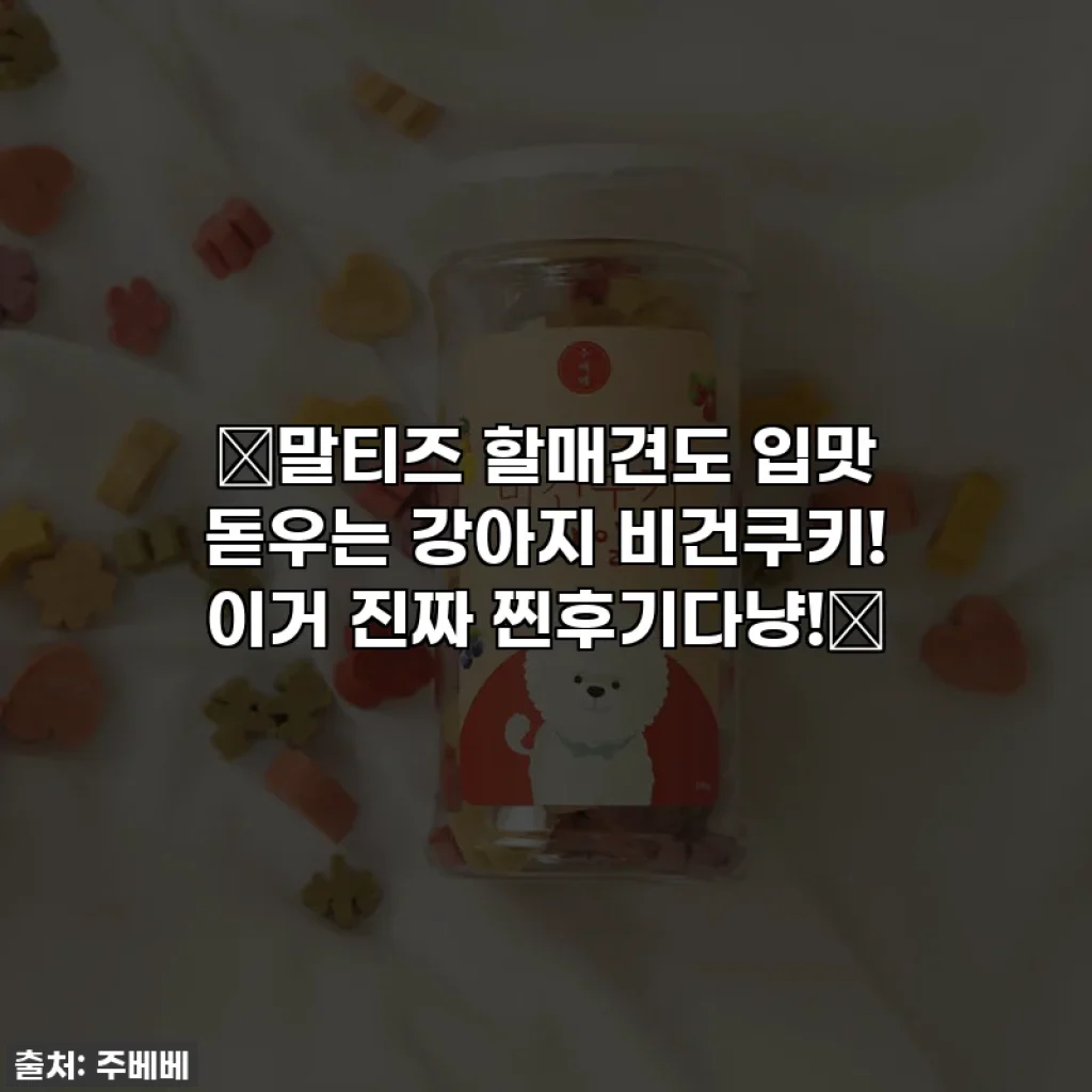 🐶말티즈 할매견도 입맛 돋우는 강아지 비건쿠키! 이거 진짜 찐후기다냥!🐾