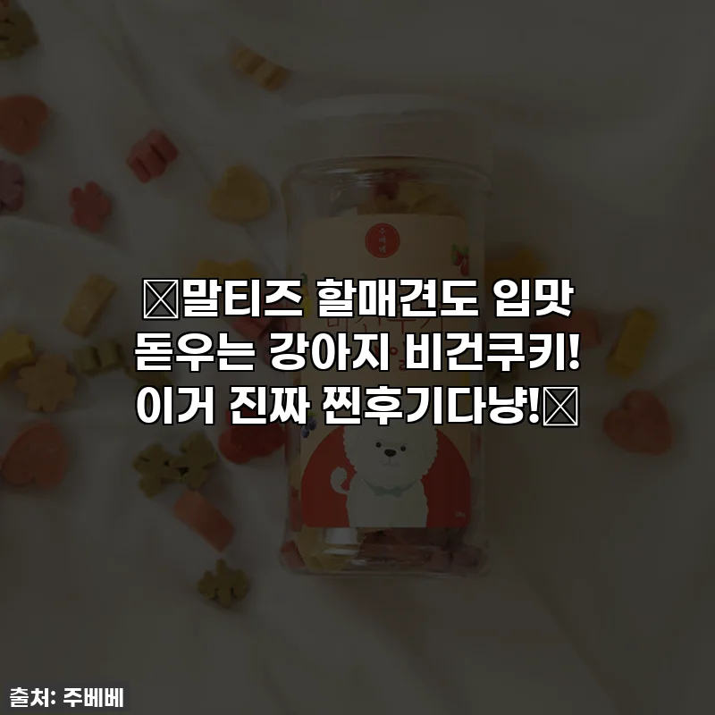 🐶말티즈 할매견도 입맛 돋우는 강아지 비건쿠키! 이거 진짜 찐후기다냥!🐾
