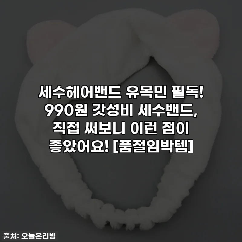 세수헤어밴드 유목민 필독! 990원 갓성비 세수밴드, 직접 써보니 이런 점이 좋았어요! [품절임박템]