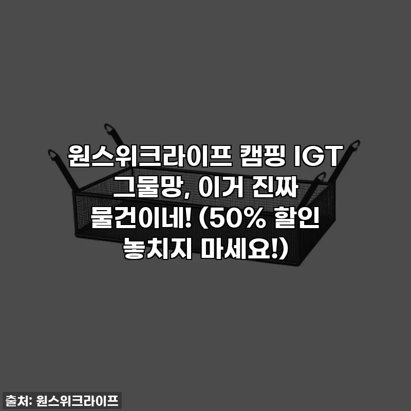 원스위크라이프 캠핑 IGT 그물망, 이거 진짜 물건이네! (50% 할인 놓치지 마세요!)