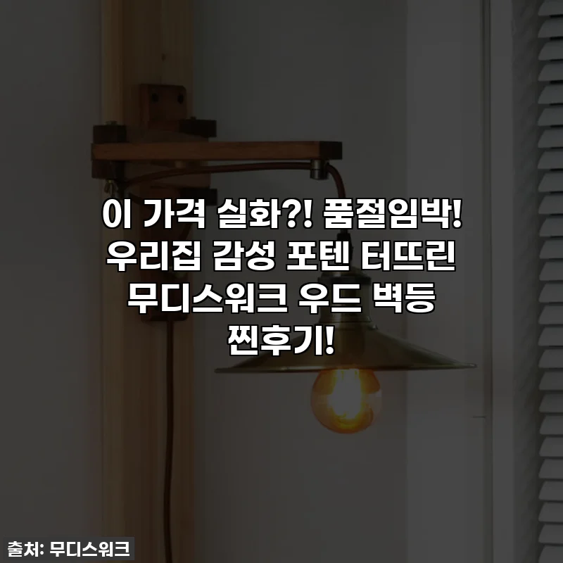 이 가격 실화?! 품절임박! 우리집 감성 포텐 터뜨린 무디스워크 우드 벽등 찐후기!