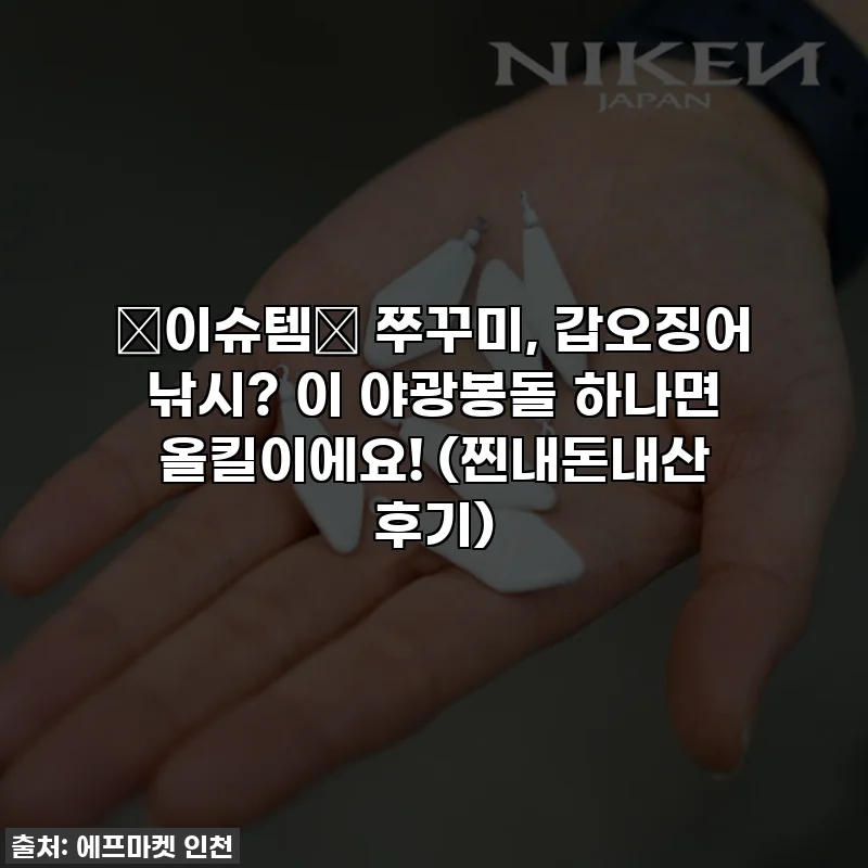 ✨이슈템✨ 쭈꾸미, 갑오징어 낚시? 이 야광봉돌 하나면 올킬이에요! (찐내돈내산 후기)