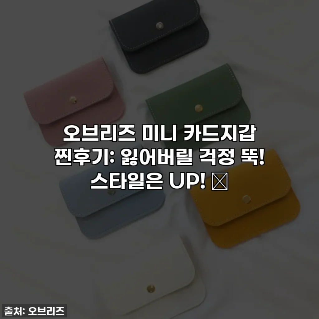 오브리즈 미니 카드지갑 찐후기: 잃어버릴 걱정 뚝! 스타일은 UP! ✨