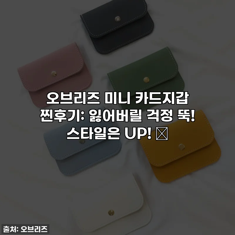 오브리즈 미니 카드지갑 찐후기: 잃어버릴 걱정 뚝! 스타일은 UP! ✨