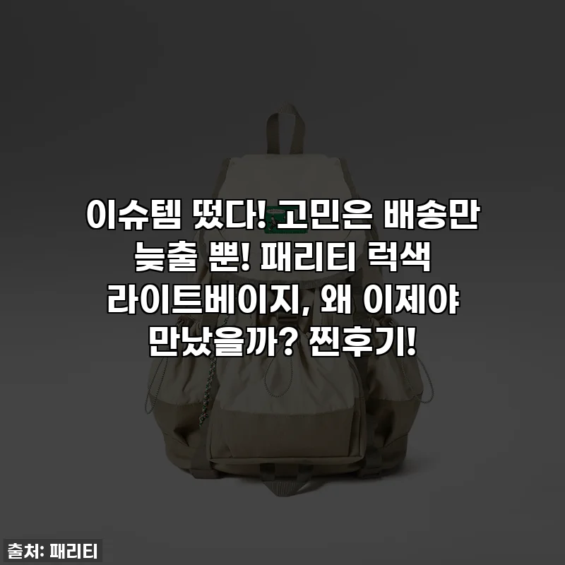 이슈템 떴다! 고민은 배송만 늦출 뿐! 패리티 럭색 라이트베이지, 왜 이제야 만났을까? 찐후기!