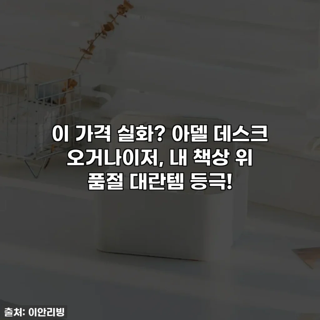 이 가격 실화? 아델 데스크 오거나이저, 내 책상 위 품절 대란템 등극!