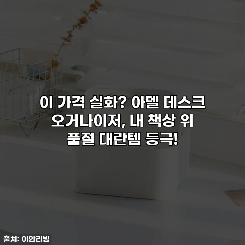 이 가격 실화? 아델 데스크 오거나이저, 내 책상 위 품절 대란템 등극!