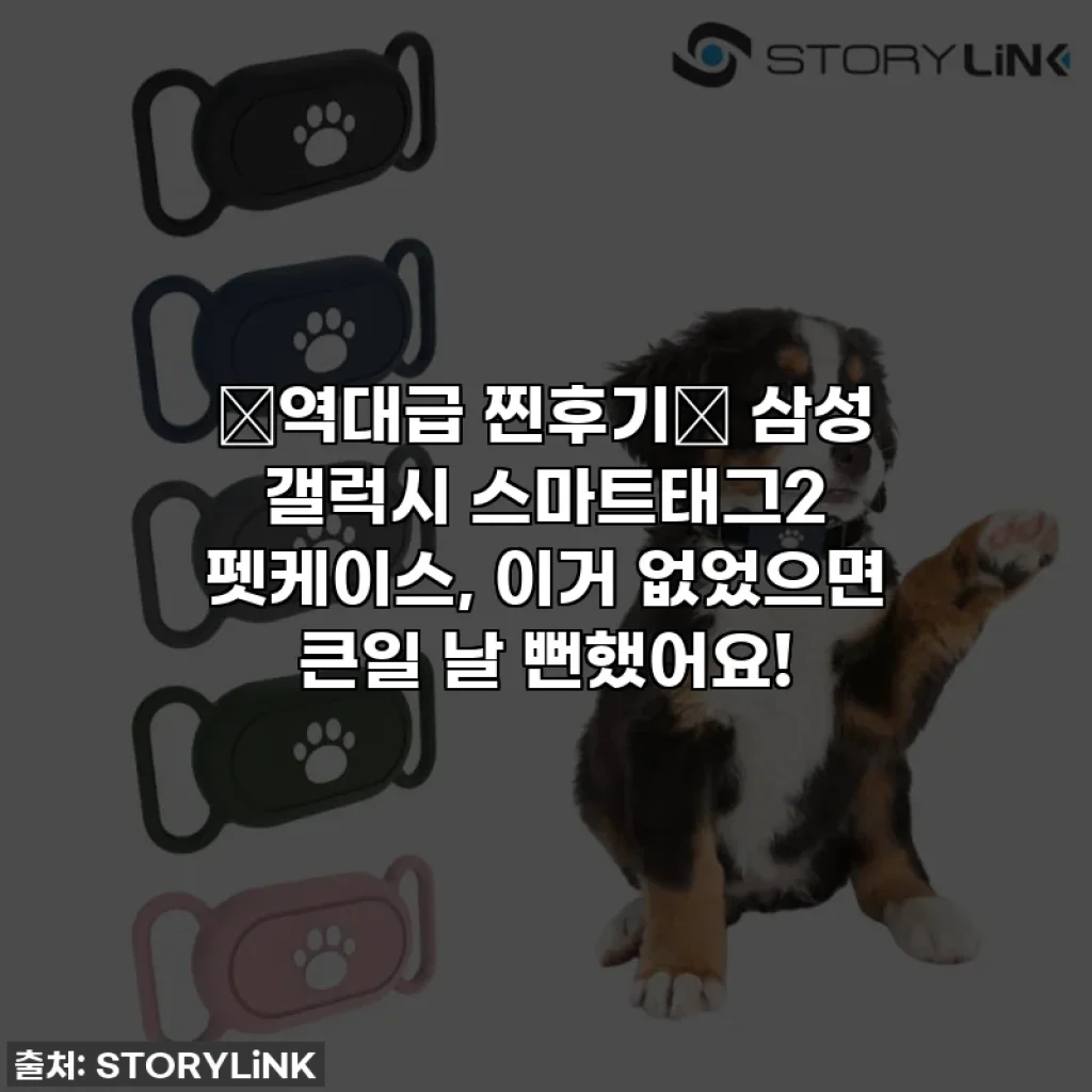 ⭐역대급 찐후기⭐ 삼성 갤럭시 스마트태그2 펫케이스, 이거 없었으면 큰일 날 뻔했어요!