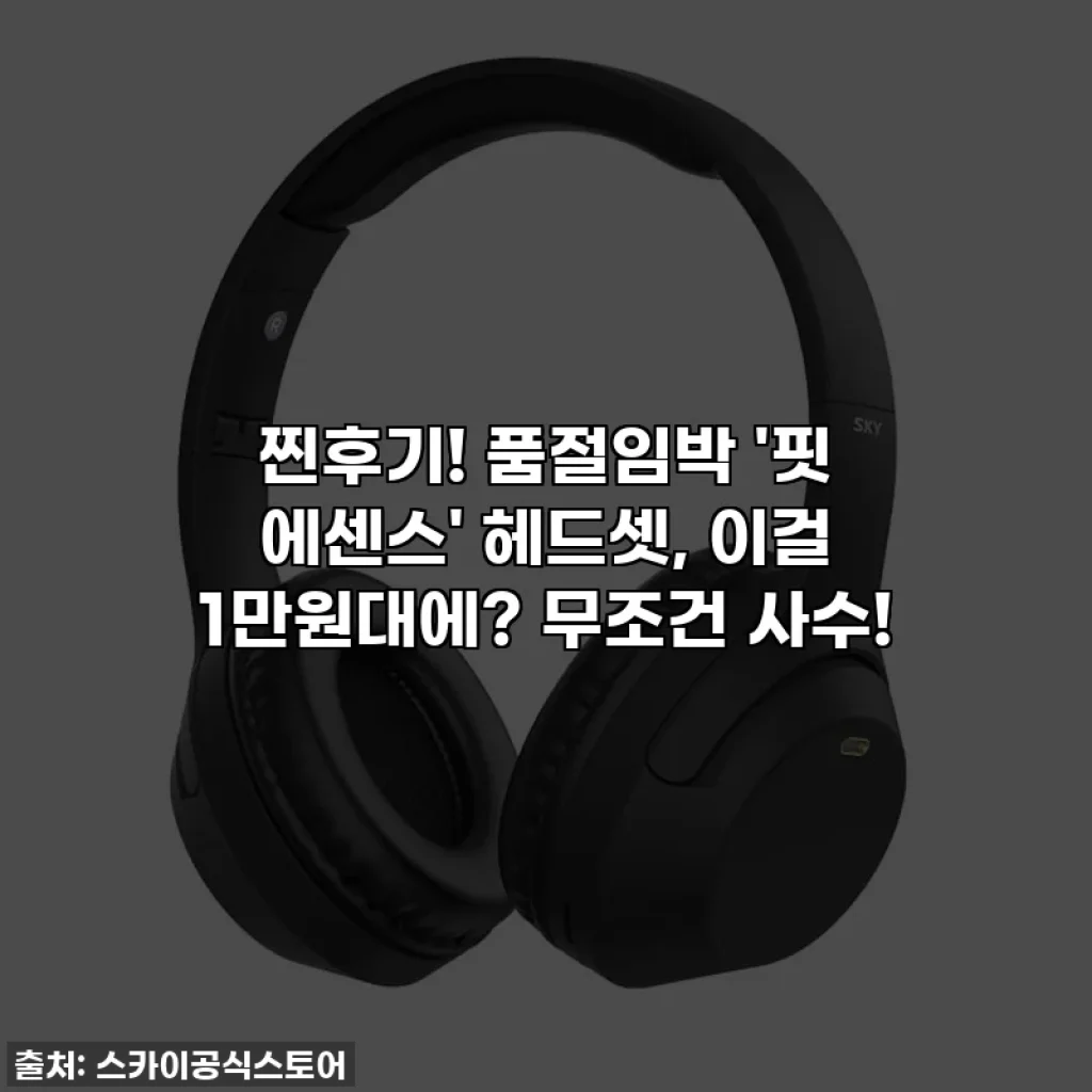 찐후기! 품절임박 '핏 에센스' 헤드셋, 이걸 1만원대에? 무조건 사수!