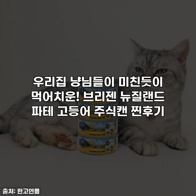 우리집 냥님들이 미친듯이 먹어치운! 브리젠 뉴질랜드 파테 고등어 주식캔 찐후기