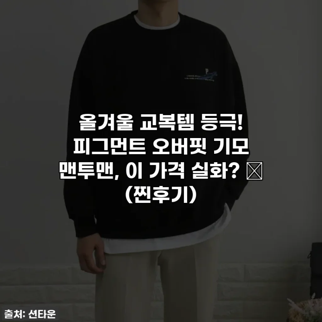 올겨울 교복템 등극! 피그먼트 오버핏 기모 맨투맨, 이 가격 실화? 😲 (찐후기)