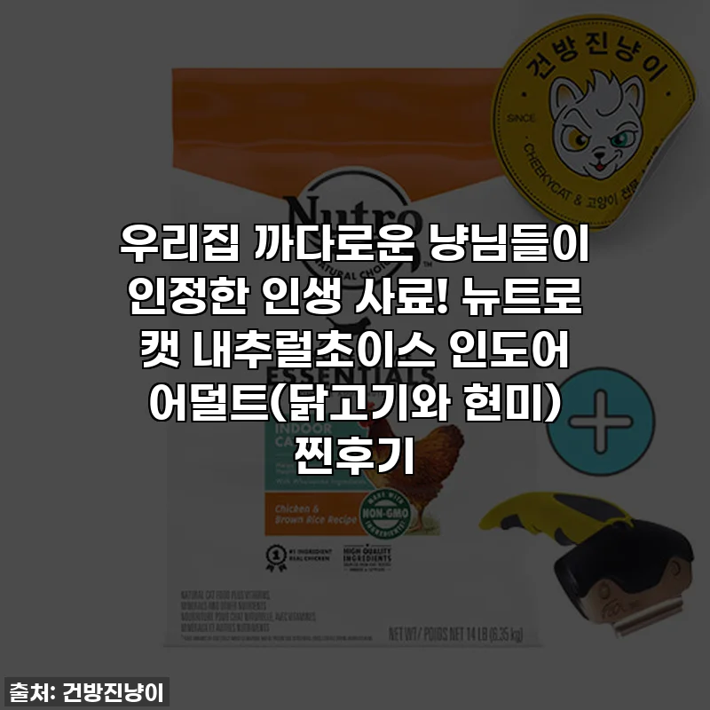 우리집 까다로운 냥님들이 인정한 인생 사료! 뉴트로 캣 내추럴초이스 인도어 어덜트(닭고기와 현미) 찐후기