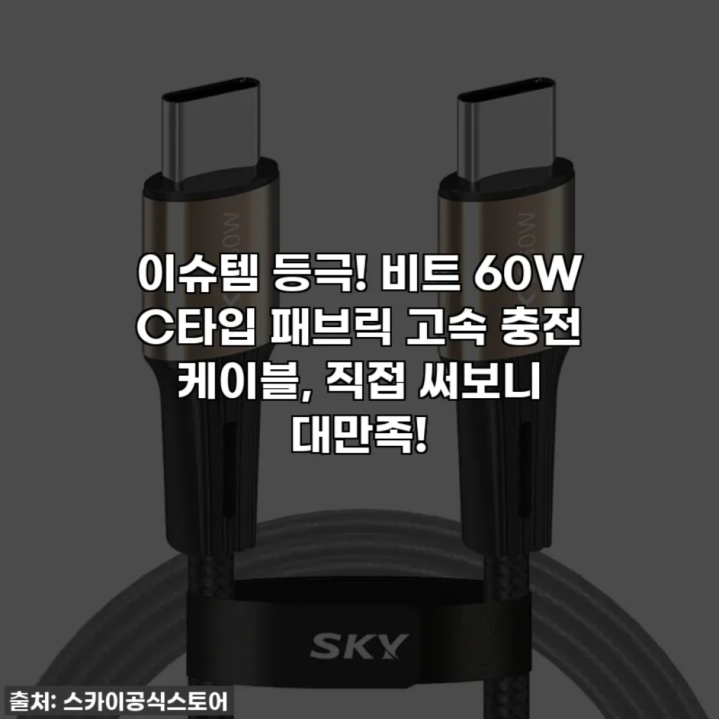 이슈템 등극! 비트 60W C타입 패브릭 고속 충전 케이블, 직접 써보니 대만족!