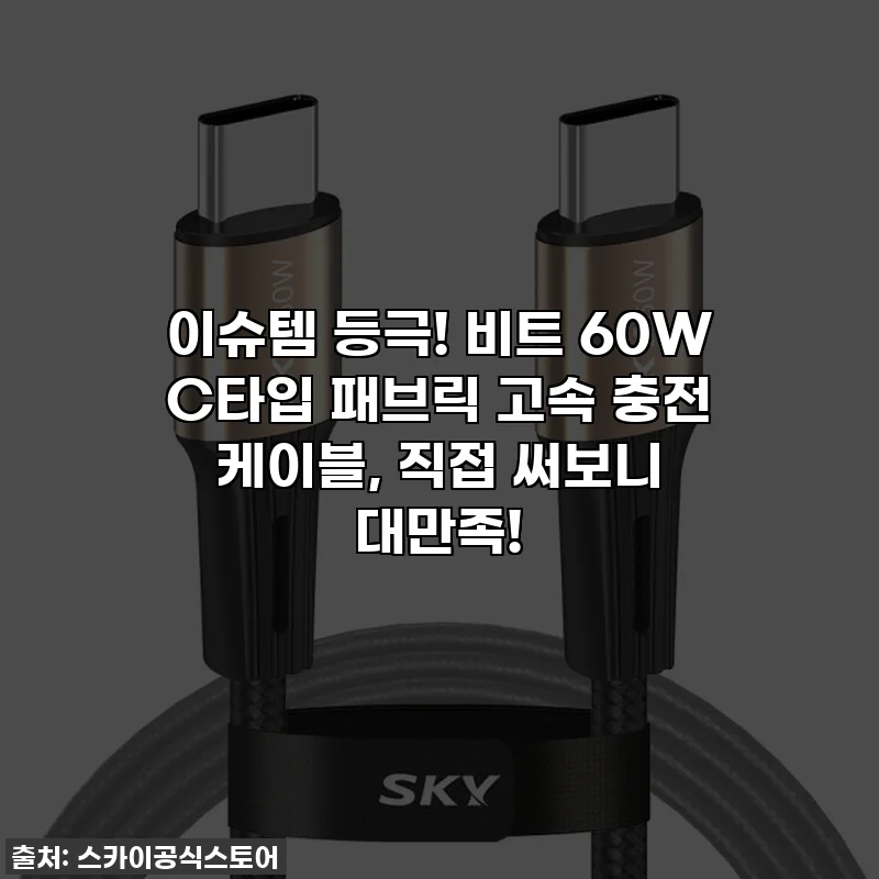 이슈템 등극! 비트 60W C타입 패브릭 고속 충전 케이블, 직접 써보니 대만족!