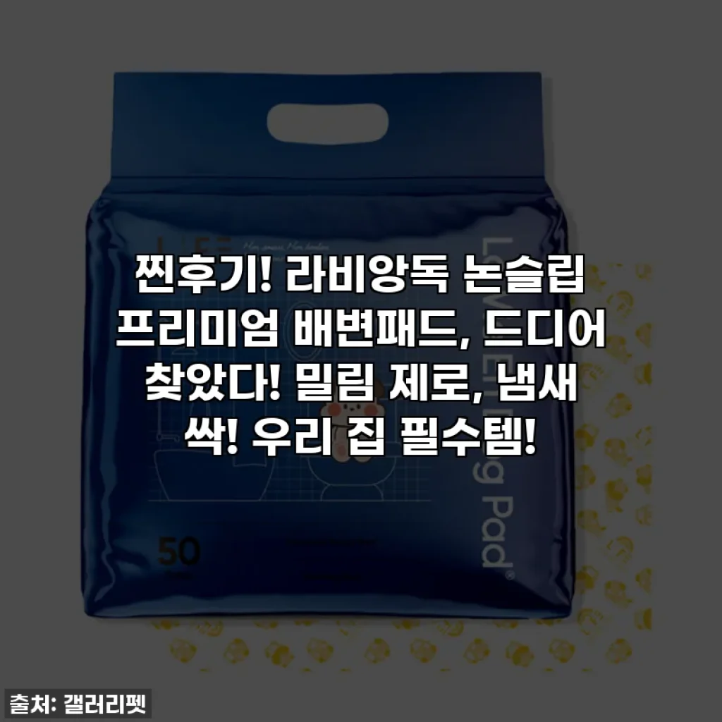찐후기! 라비앙독 논슬립 프리미엄 배변패드, 드디어 찾았다! 밀림 제로, 냄새 싹! 우리 집 필수템!