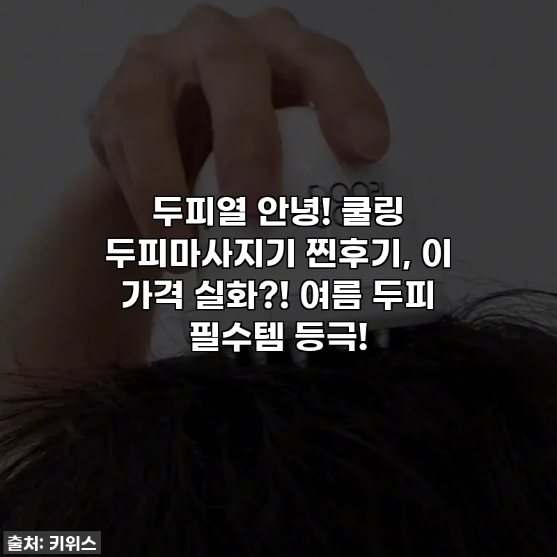 두피열 안녕! 쿨링 두피마사지기 찐후기, 이 가격 실화?! 여름 두피 필수템 등극!