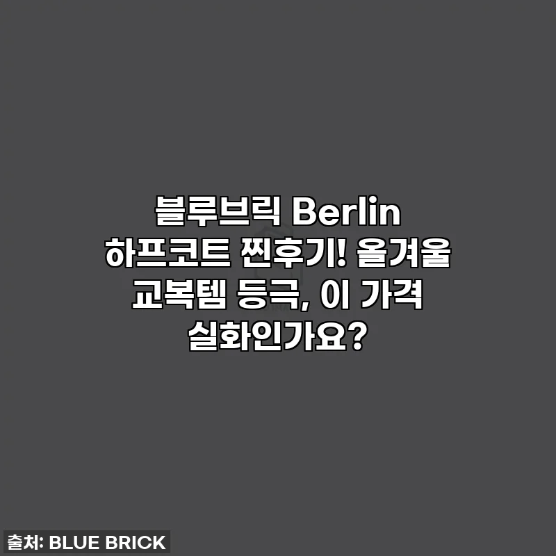 블루브릭 Berlin 하프코트 찐후기! 올겨울 교복템 등극, 이 가격 실화인가요?